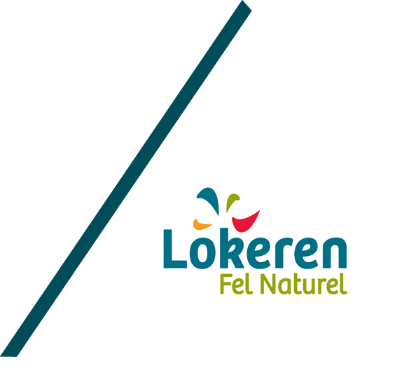 Logo of Lokeren City