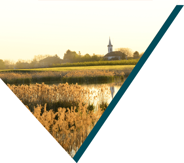 peaceful rural field shown in low code-automation case for public sector