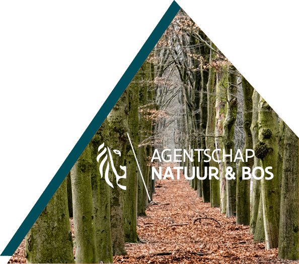 wooded path with logo, part of visual branding in low code-automation case for Natuur en Bos