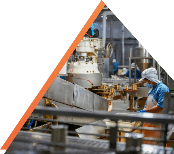 Food industry - SynerSec