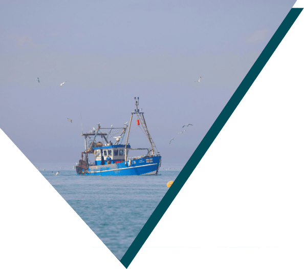 Blue fishing vessel at sea surrounded by seagulls on overcast day