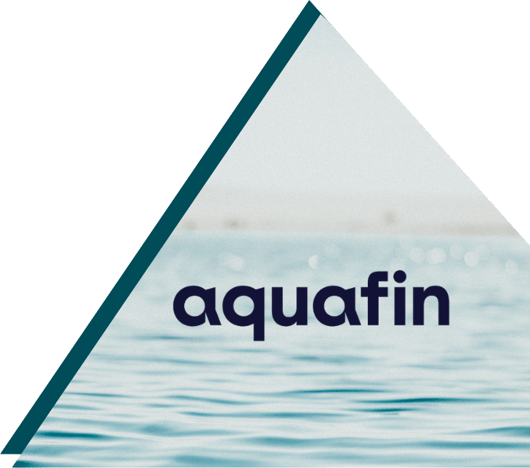 Triangular frame showing water surface with "aquafin" text overlay for Smart Company water data project